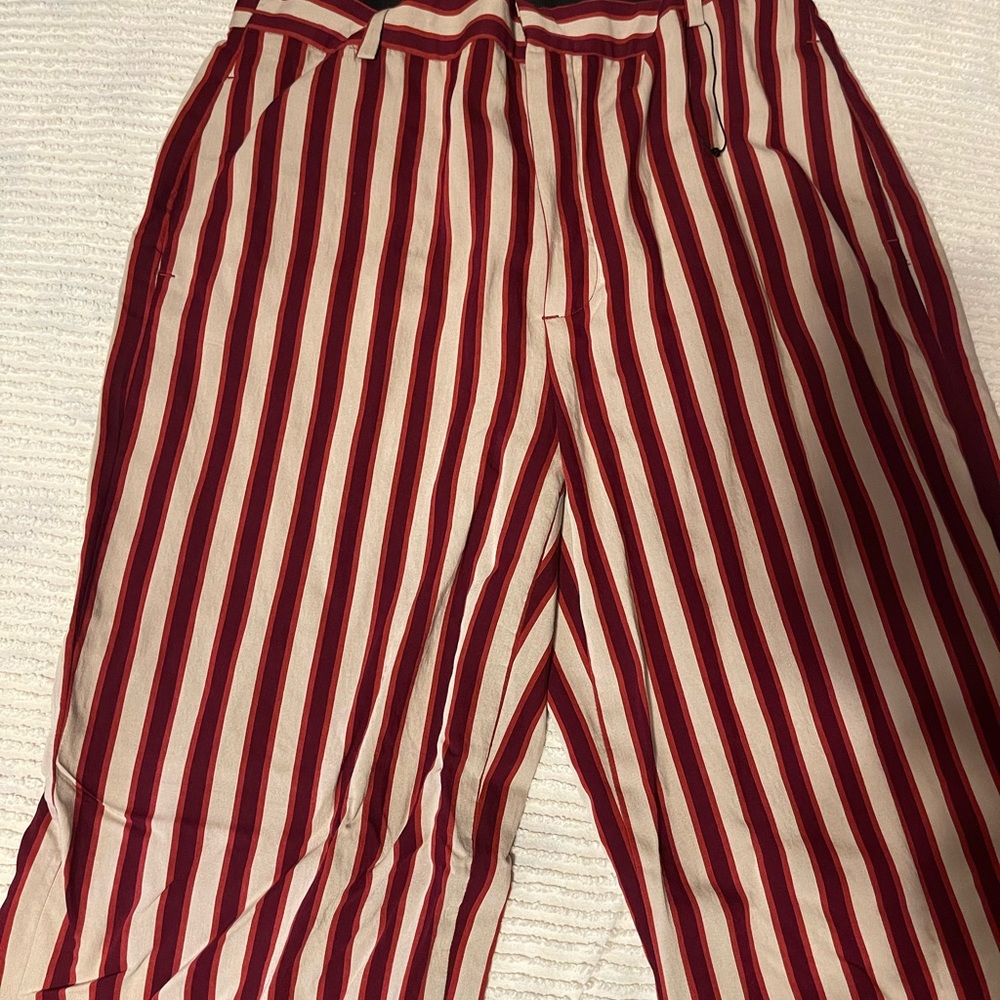 Zara red striped pants